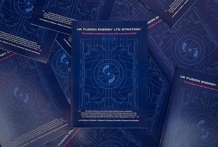 A scattered pile of blue covered strategy documents