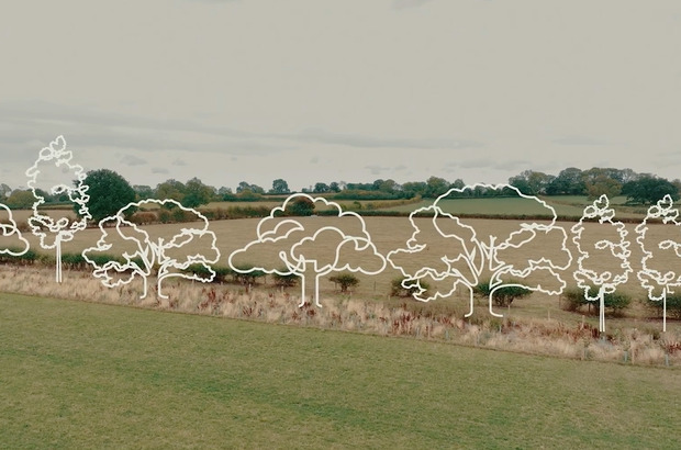 A-wide-rural-landscape-with-fields-and-hedgerows-overlaid-with-white-line-drawings-of-different-trees-stretching-across-the-scene
