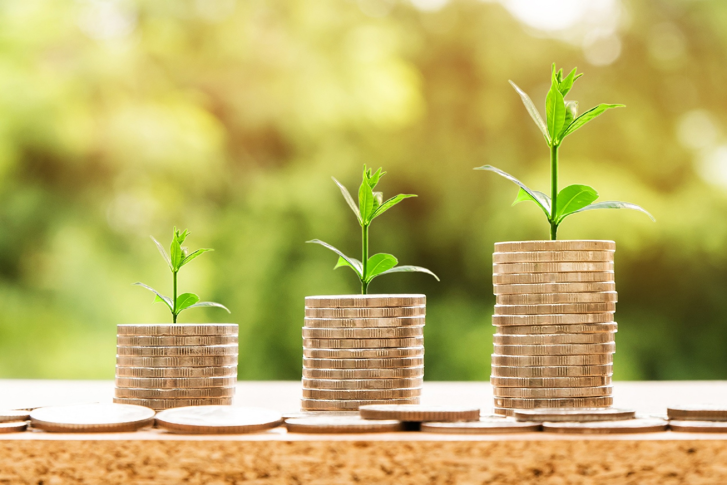 Three stacks of coins, in ascending height order. On top of each stack of coins there is a green shoot of a plant.
