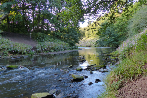 A river flowing through the countryside
