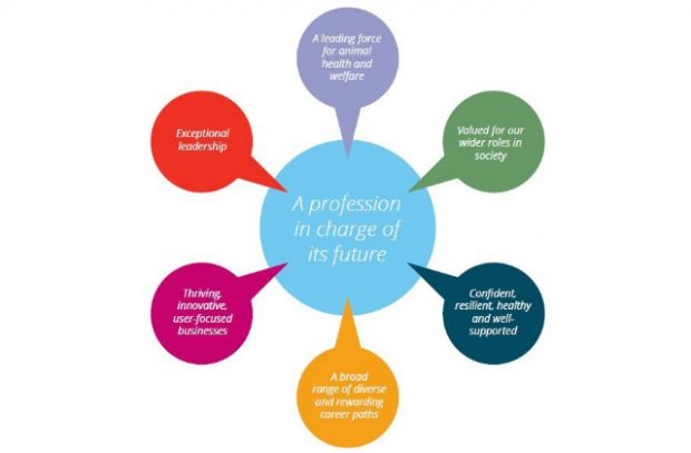 Infographic of the changes to profession with 6 sections: Exceptional Leadership, A leading force for animal health and welfare, valued for our wider roles in society, confident, resilient and well-supported, a broad range of diverse and rewarding career paths, thriving, innovative, user-focused business.