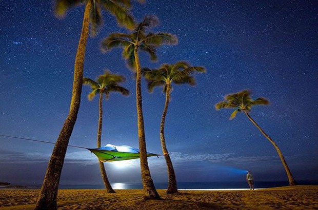 Image of a Tensile tent suspended from palm trees on a beach.