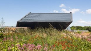 Flowers and grasses at the Met Office Data Centre, Exeter.