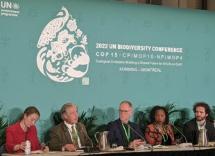 Tony Juniper is sat with other panellists, discussing topics at COP15 in December 2022.