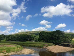 Image shows a section of the river Ure. Lush green hills can be seen in the background, with a blue sky and fluffy clouds hovering overhead.