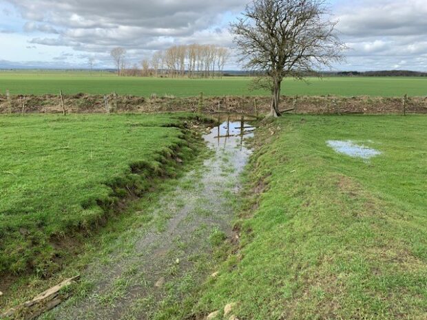 Site at Mordon where new wetlands likely to be created