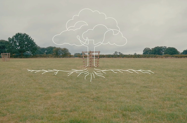 An-open-grassy-field-with-a-young-tree-supported-by-wooden-stakes-overlaid-with-a-white-line-drawing-showing-the-trees-canopy-above-ground