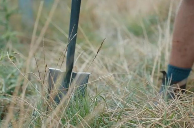 Close-up of a spade being pushed into dry grass during tree planting, with the lower legs and boots of a person visible in the background. The outdoor scene is focused on the planting tool and grassy vegetation.