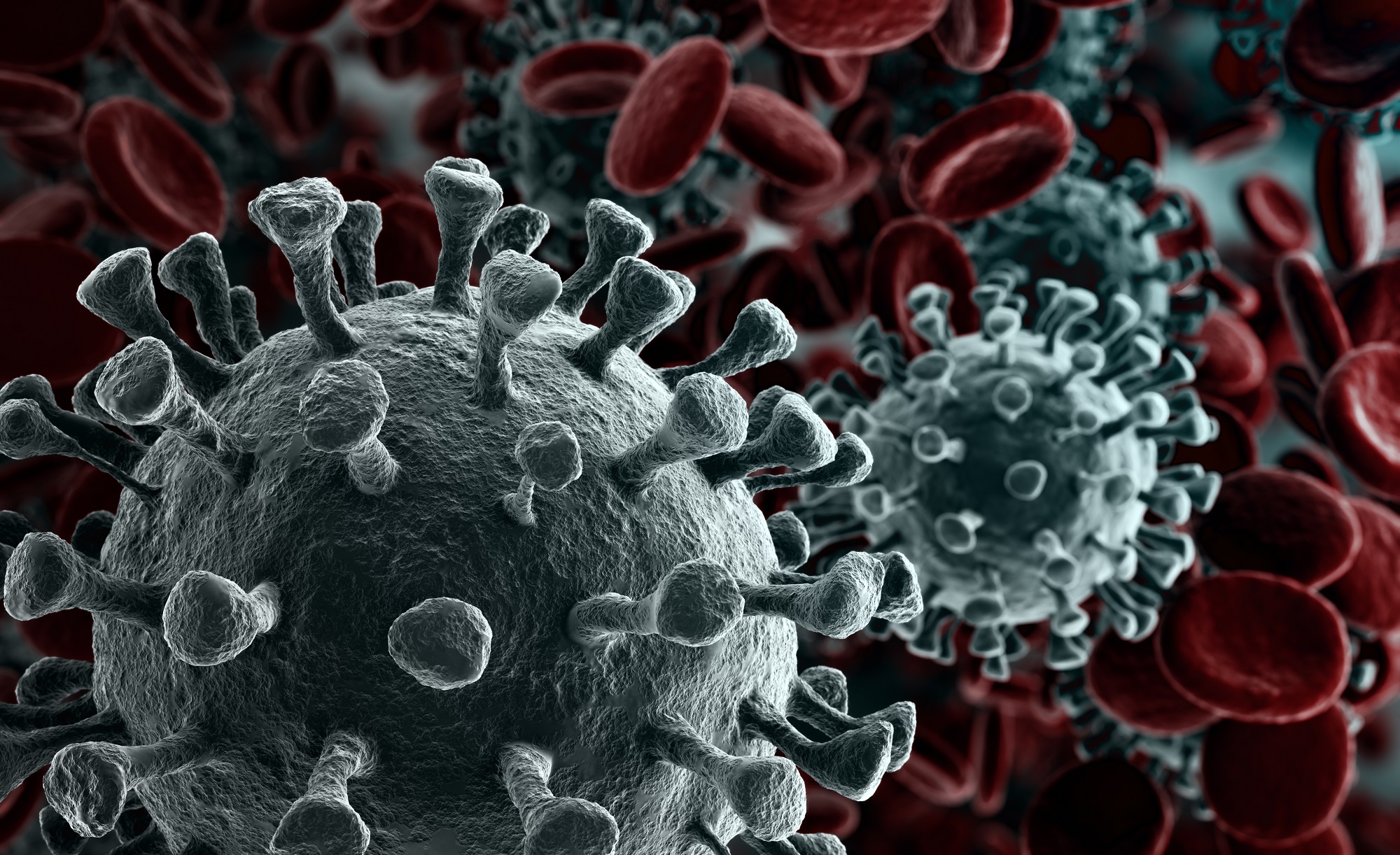 Artists impression of what the coronavirus looks like under the microscope.