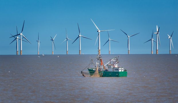 Offshore wind turbine and fishing boat