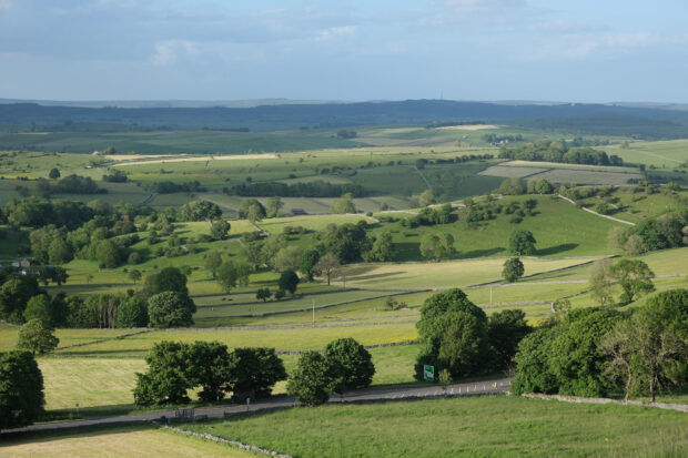 Image shows a view looking out from Slough Top, near Taddington in the Derbyshire Peak District. Lots of lush green patchwork fields can be see with fluffy green trees. A blue sky with white clouds hangs overhead.