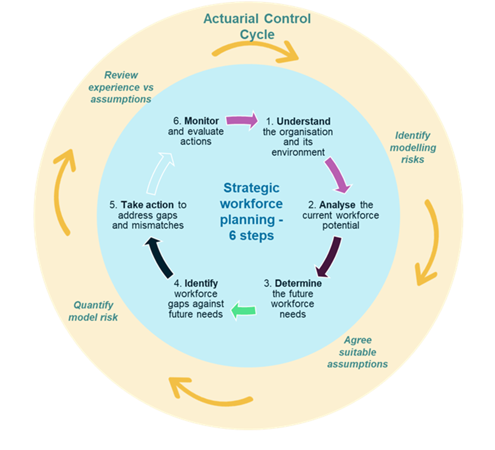 Cyclical depiction of strategic workforce planning.