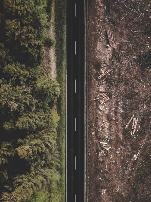 A long straight black road, pictured from above. To the left of the road is a green forest. To the right, there is just brown earth with a few logs.