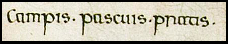 PRO30/26/11 Charter of King Edgar - Extract four