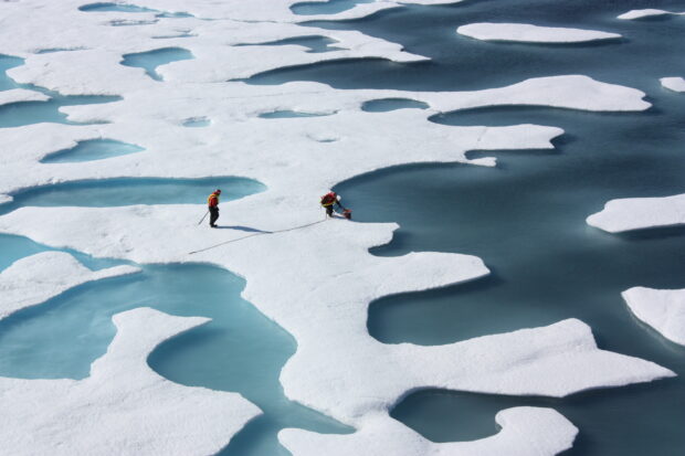 Ice Floats