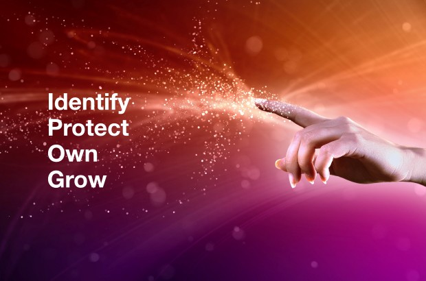 Image of finger pointing with text "Identify, Protect, Own, Grow".