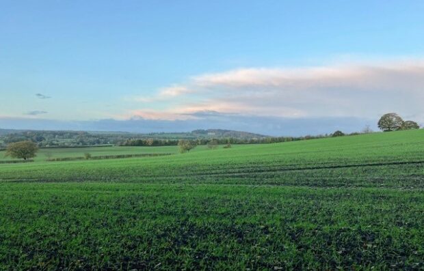 Green farmland with gently sloping fields under a blue sky.