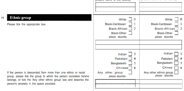 The image shows the ethnic group question from the 1991 Census. The instructions say “Please tick the appropriate box", and give the following options: White, Black-Caribbean, Black-African, Black-Other (please describe), Indian, Pakistani, Bangladeshi, Chinese, and Any other group (please describe). Further instructions say: “If the person is descended from more than one ethnic or racial group, please tick the group to which the person considers he/she belongs, or tick the ‘Any other ethnic group’ box and describe the person’s ancestry in the space provided."
