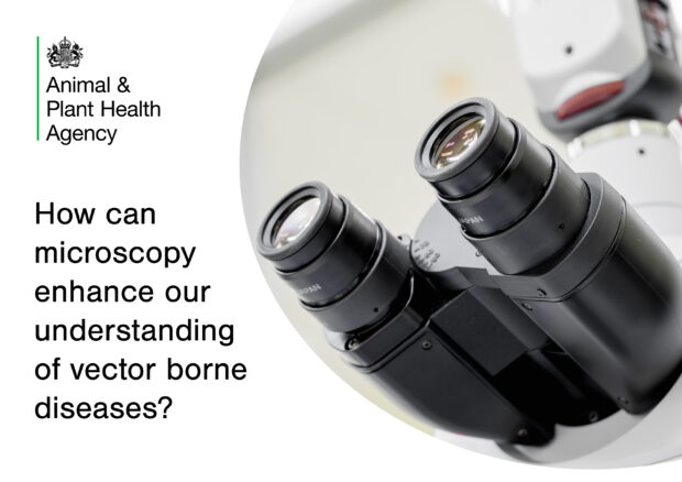 Image of a microscope with the text, "How can microscopy enhance understanding of vector borne diseases?" and the APHA logo.