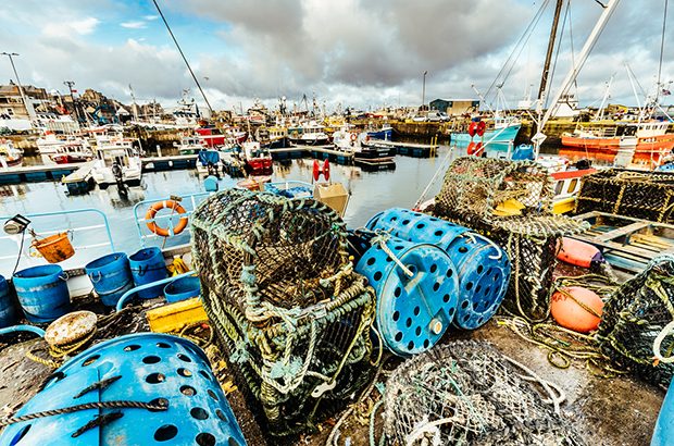 Fishing boats at Fraserburgh