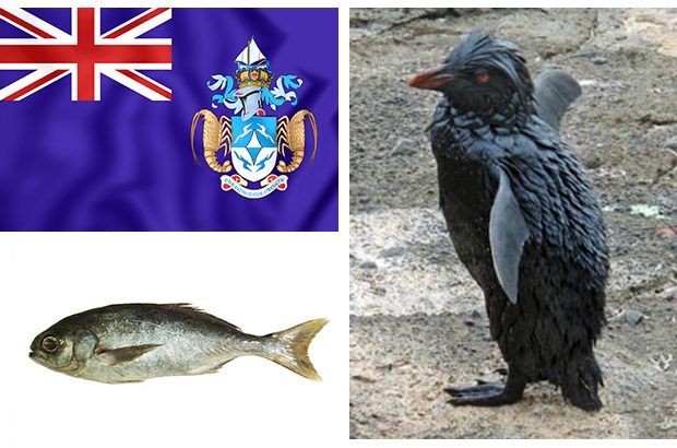 Tristan da Cunha visit