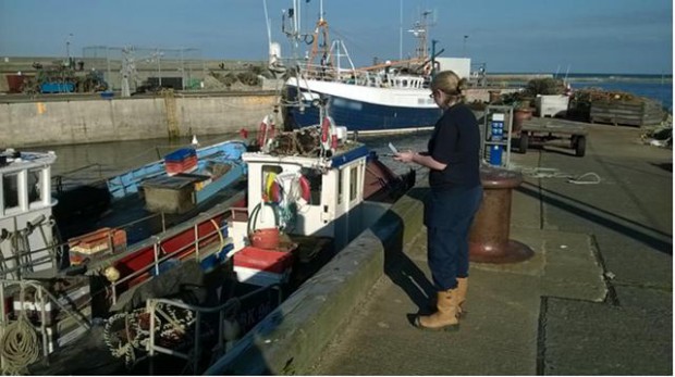 Seahouses harbor