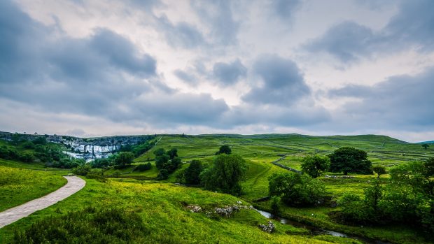 Green and verdant landscape