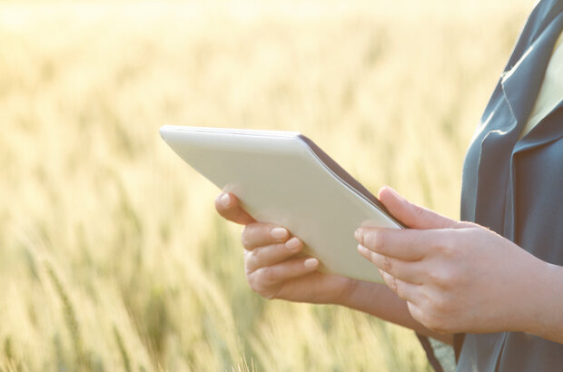Business woman using digital tablet in the field