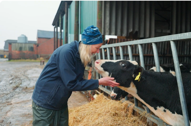 A person in farm clothing bends down to stroke a black-and-white calf through a metal feeding barrier, with straw bedding and farm buildings in the background.