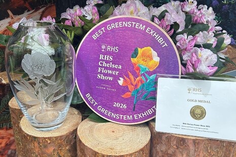 Chelsea RHS Gold medal and best exhibit award 2026