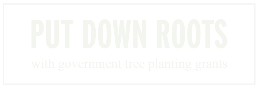 PUT DOWN ROOTS with government tree planting grants