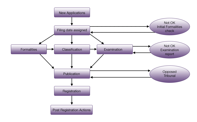 The Examination Process