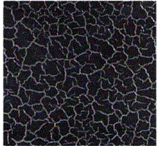 Pattern2