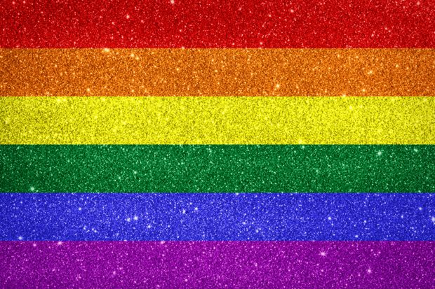 Pride rainbow flag