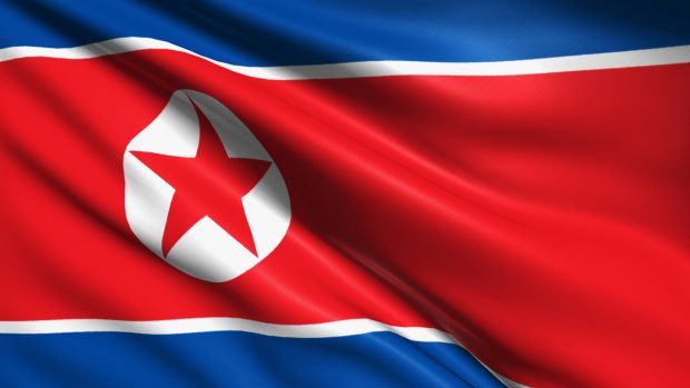 North Korea flag