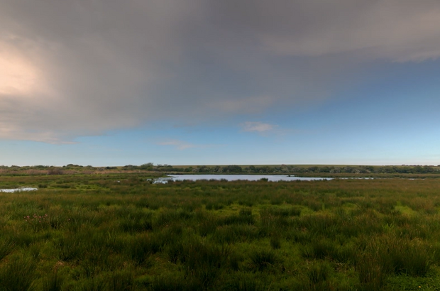 Wide landscape view of a green marshland with tall grasses and patches of reeds in the foreground, leading to a calm, narrow stretch of water in the middle distance. A low tree line sits along the horizon, and above it a large, partly cloudy sky shows a mix of soft grey clouds and blue patches with warm light near the horizon.