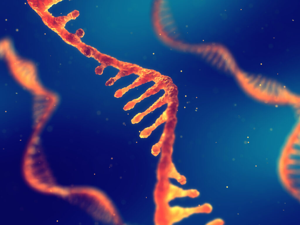 Single strand ribonucleic acid, RNA research and therapy, 3d illustration