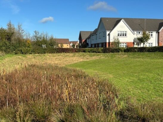 image of house surrounded by nature