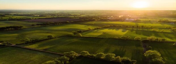 A sunrise coming up over a lush green field.
