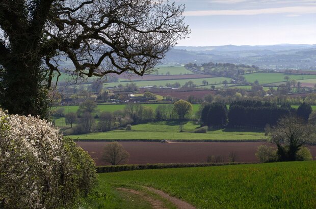 Silverton Farmland