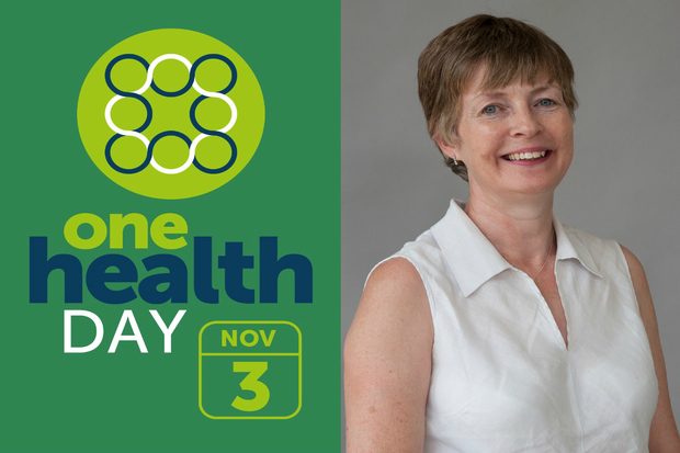 Image split in half showing 'One Health Day November 3' on one half and an image of a lady wearing a white sleeveless shirt smiling at camera.