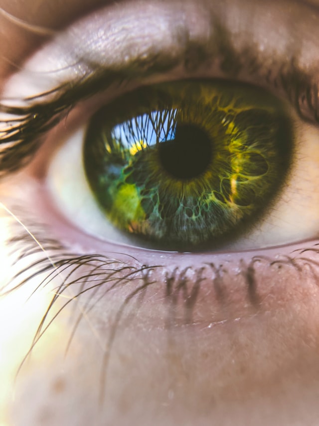 human eye