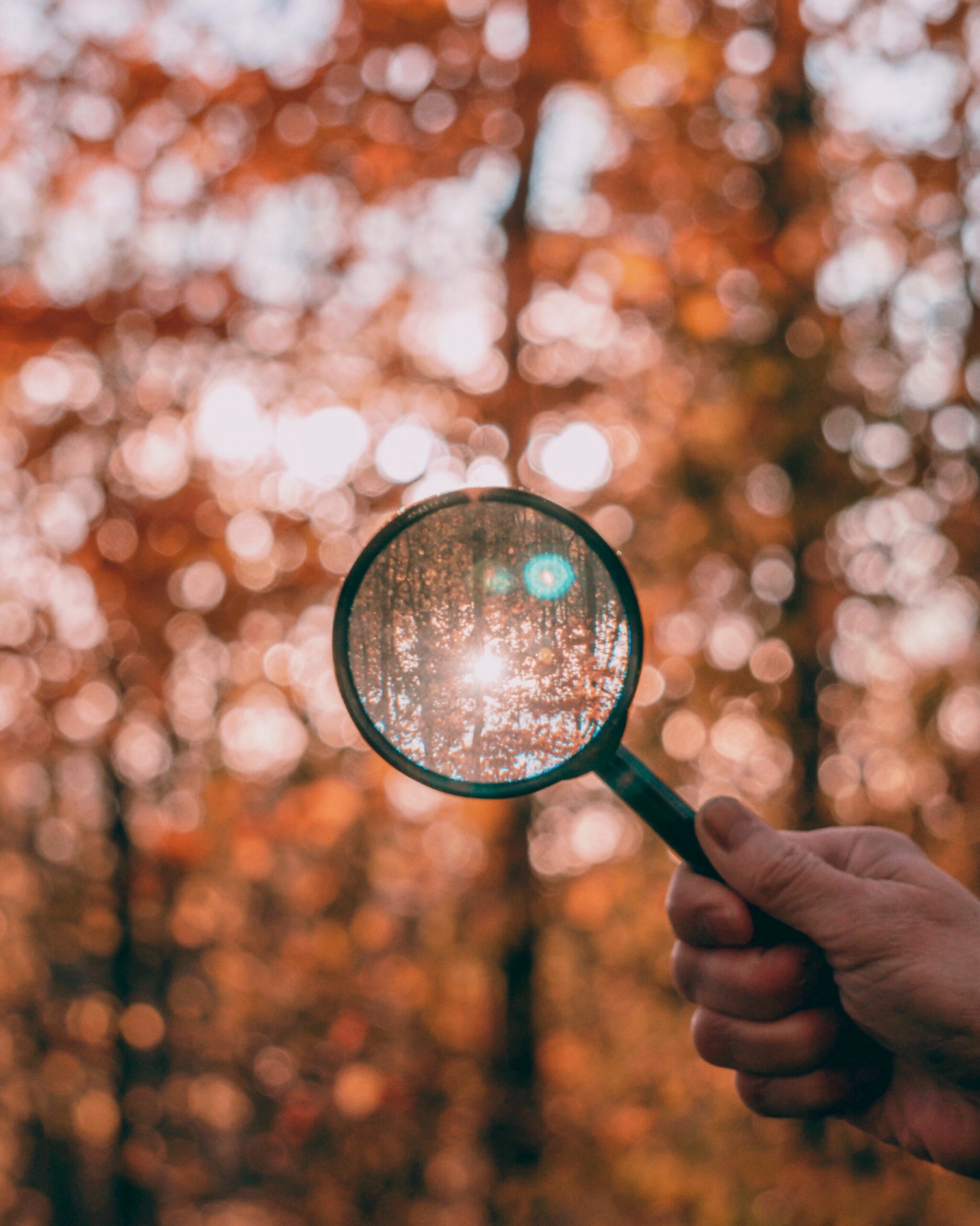 Magnifier