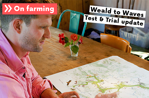 Thumbnail image showing a clip of a participant at a desk with a map