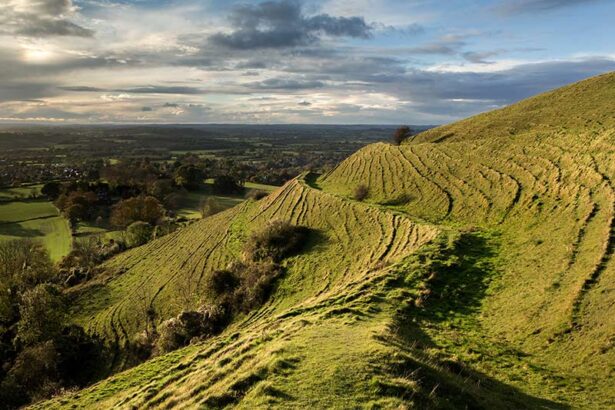 Image of green hills