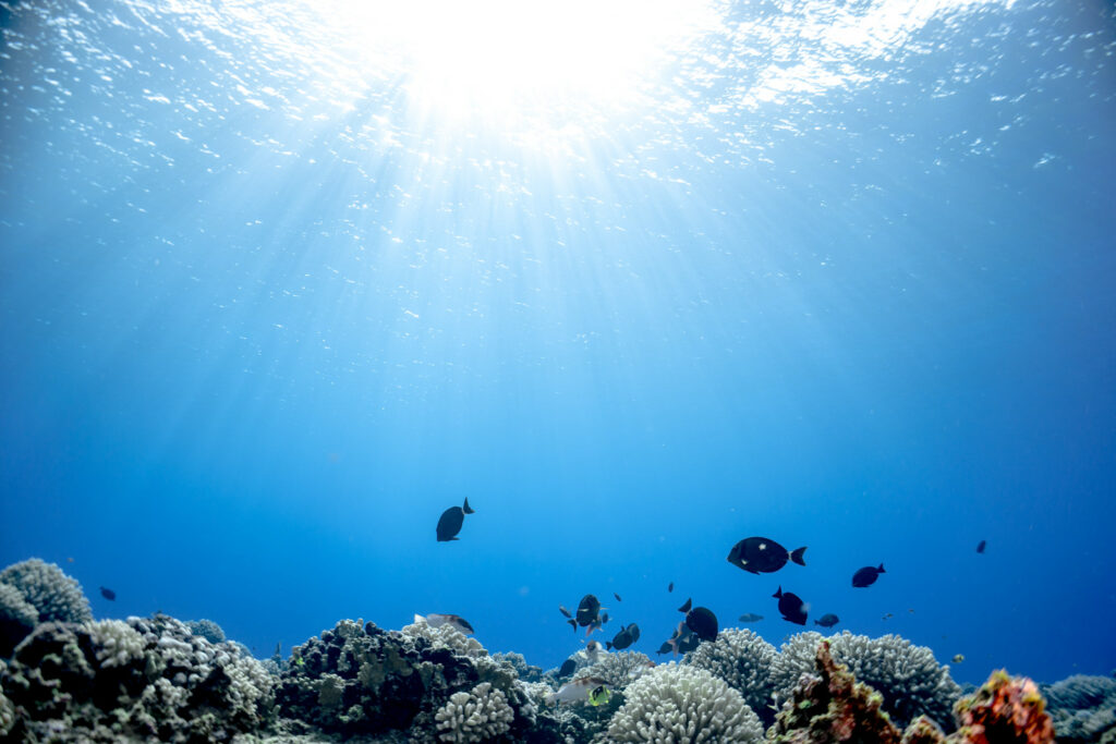 Blue ocean with sun shining through