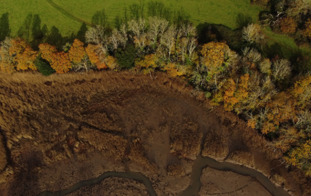 Aerial image of Dart and surrounding saltmarsh