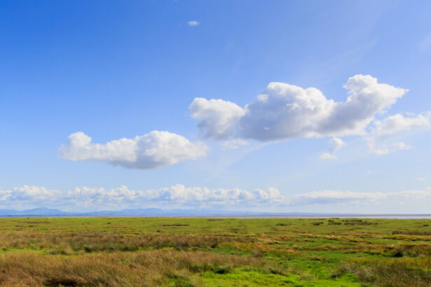 View of the Solway Wetlands, Cumbria