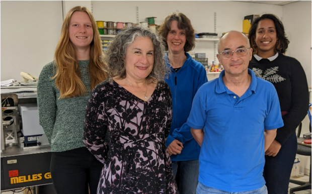 Team FORUM in the Earth Observation instrumentation lab at Imperial. From left to right: Laura Warwick, Jacqui Russell, Helen Brindley, Jon Murray, Sanjeevani Panditharatne.