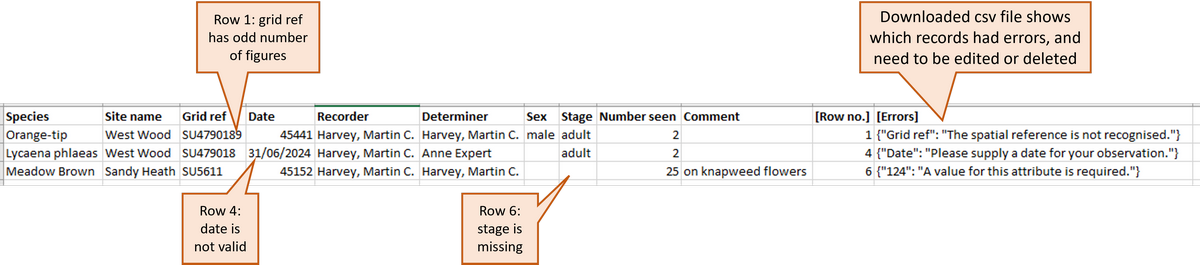 screenshot of downloaded file giving details of validation errors